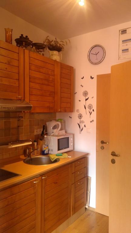 Fatrapark 1 U Sovicky Studio, Kuchynka, Kupelna,S Balkonom Gratis Parkovanie V Podzemnej Garazi Ружомберок Екстериор снимка
