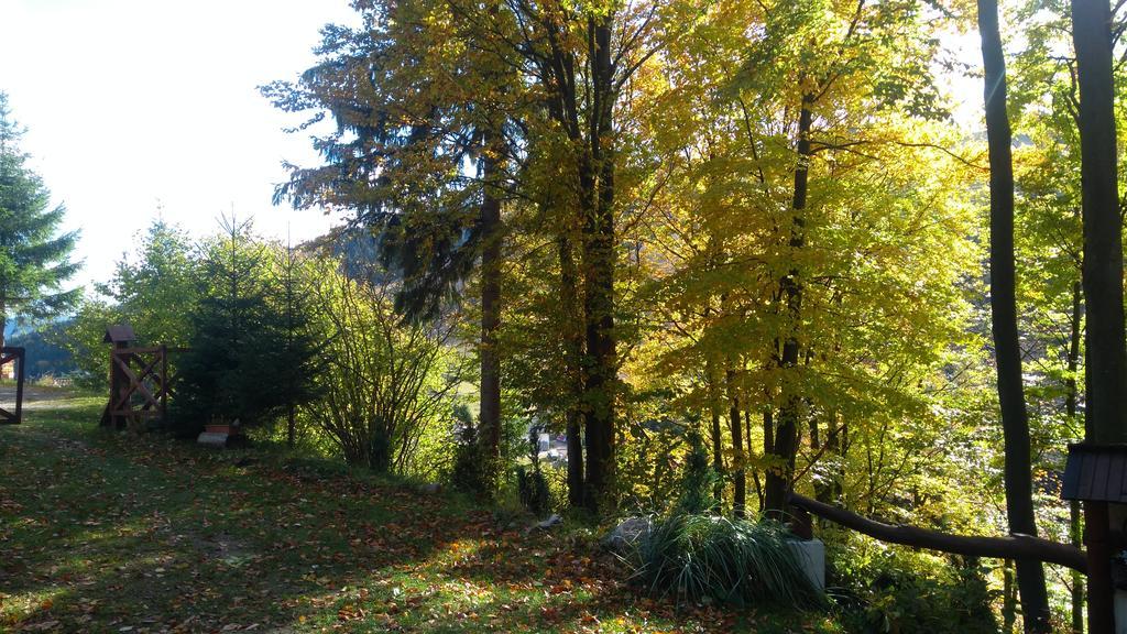 Fatrapark 1 U Sovicky Studio, Kuchynka, Kupelna,S Balkonom Gratis Parkovanie V Podzemnej Garazi Ружомберок Екстериор снимка